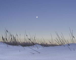 Preview wallpaper snow, grass, moon, evening