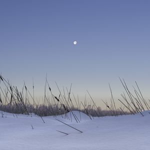 Preview wallpaper snow, grass, moon, evening