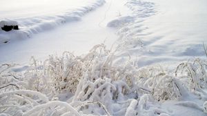 Preview wallpaper snow, grass, winter, cover