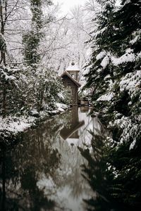 Preview wallpaper snow, house, river, trees