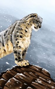 Preview wallpaper snow leopard, big cat, predator, glance, stones, art
