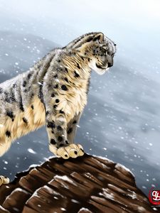 Preview wallpaper snow leopard, big cat, predator, glance, stones, art