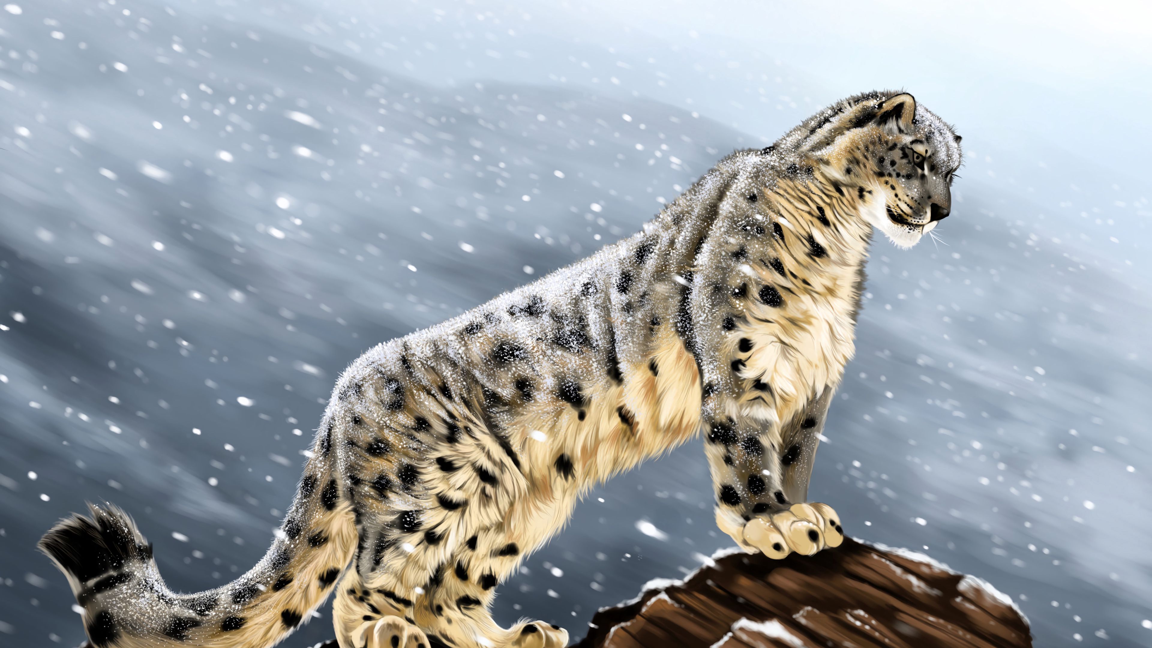 Download wallpaper 3840x2160 snow leopard, big cat, predator, glance,  stones, art 4k uhd 16:9 hd background