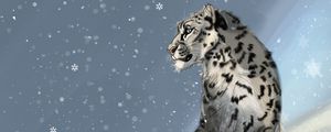 Preview wallpaper snow leopard, predator, snow, snowflakes, winter, art