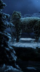 Preview wallpaper snow leopards, moon, winter