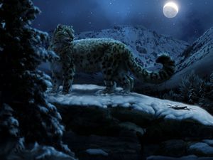 Preview wallpaper snow leopards, moon, winter