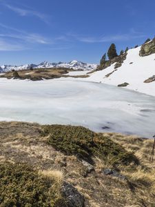 Preview wallpaper snow, moss, mountains, sky, nature