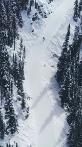 Preview wallpaper snow, mountains, trees, aerial view