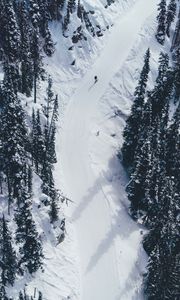 Preview wallpaper snow, mountains, trees, aerial view