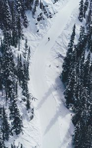 Preview wallpaper snow, mountains, trees, aerial view