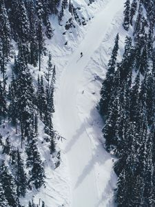 Preview wallpaper snow, mountains, trees, aerial view