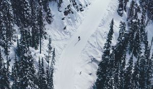 Preview wallpaper snow, mountains, trees, aerial view