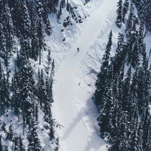 Preview wallpaper snow, mountains, trees, aerial view