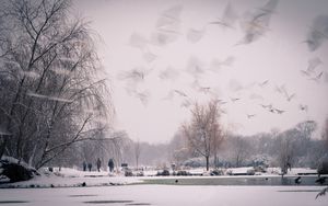 Preview wallpaper snow, nature, sky