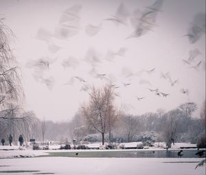 Preview wallpaper snow, nature, sky