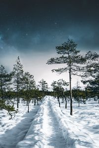 Preview wallpaper snow, path, trees, forest, sky, winter