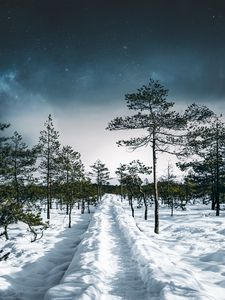 Preview wallpaper snow, path, trees, forest, sky, winter