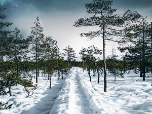 Preview wallpaper snow, path, trees, forest, sky, winter