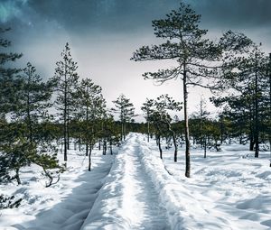 Preview wallpaper snow, path, trees, forest, sky, winter