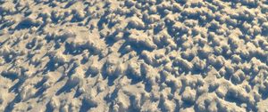 Preview wallpaper snow, relief, winter, macro