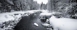 Preview wallpaper snow, river, forest, trees