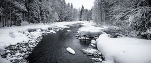 Preview wallpaper snow, river, forest, trees