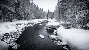 Preview wallpaper snow, river, forest, trees