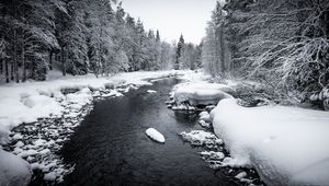 Preview wallpaper snow, river, forest, trees