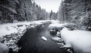 Preview wallpaper snow, river, forest, trees