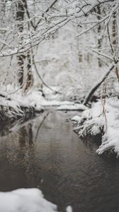 Preview wallpaper snow, river, stream, branch
