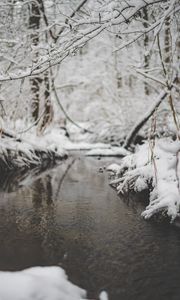 Preview wallpaper snow, river, stream, branch