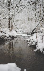 Preview wallpaper snow, river, stream, branch