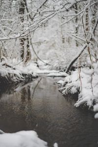 Preview wallpaper snow, river, stream, branch