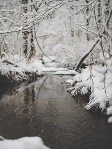 Preview wallpaper snow, river, stream, branch