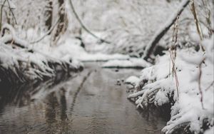 Preview wallpaper snow, river, stream, branch