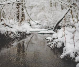 Preview wallpaper snow, river, stream, branch