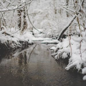 Preview wallpaper snow, river, stream, branch