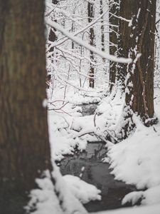 Preview wallpaper snow, river, thaw, forest