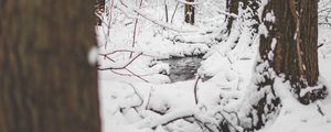 Preview wallpaper snow, river, thaw, forest
