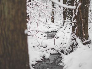 Preview wallpaper snow, river, thaw, forest