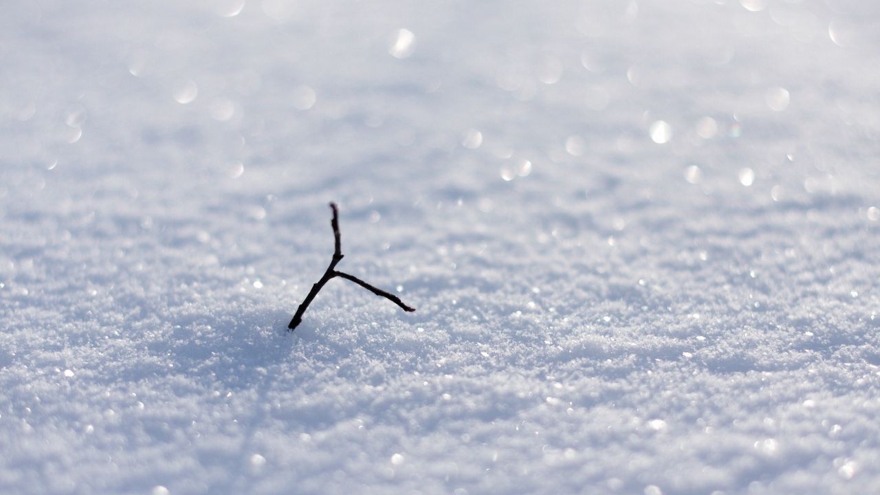 Wallpaper snow, shine, branch