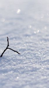 Preview wallpaper snow, shine, branch