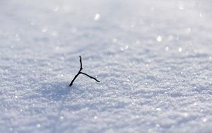 Preview wallpaper snow, shine, branch