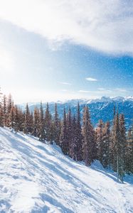 Preview wallpaper snow, slope, mountains, winter, trees, snowfall