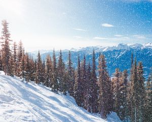 Preview wallpaper snow, slope, mountains, winter, trees, snowfall