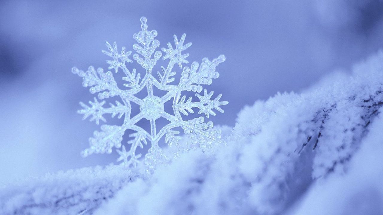 Wallpaper snow, snowflake, winter, form, pattern