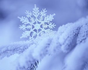 Preview wallpaper snow, snowflake, winter, form, pattern