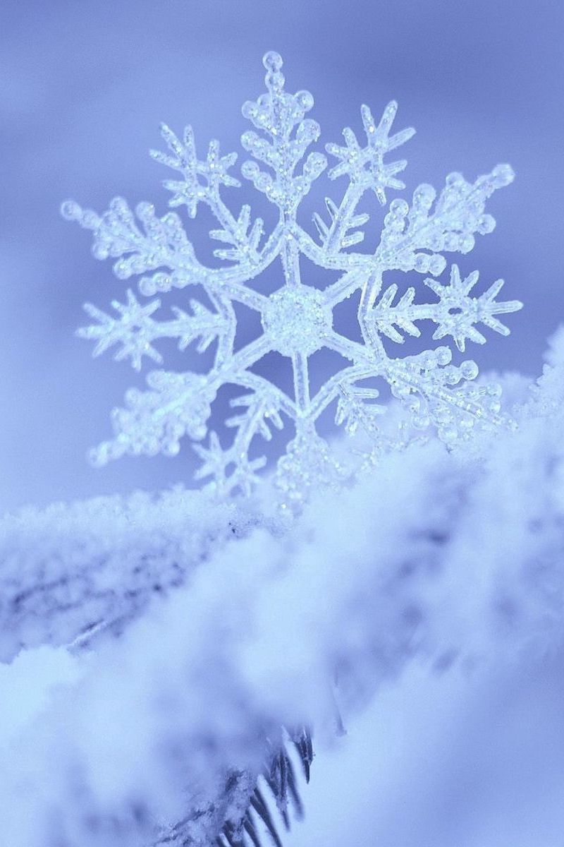 Snowflake iPhone Wallpaper  Danielle Verderame
