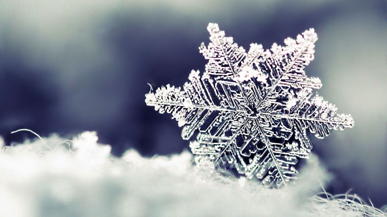 Wallpaper snow, snowflake, winter