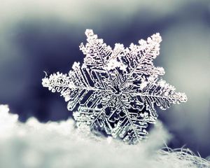 Preview wallpaper snow, snowflake, winter